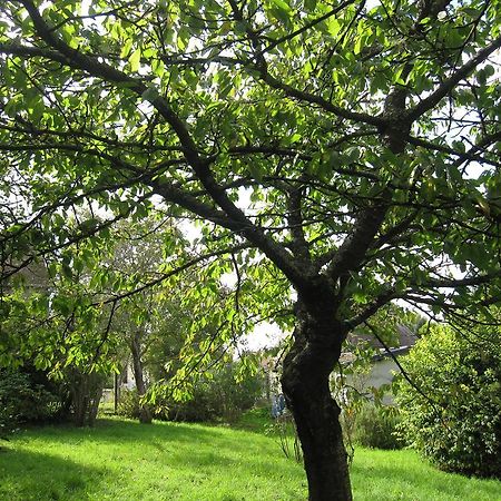 Maison Avec Grand Jardin Pour 15 Couchages En Normandie Cairon Phòng bức ảnh