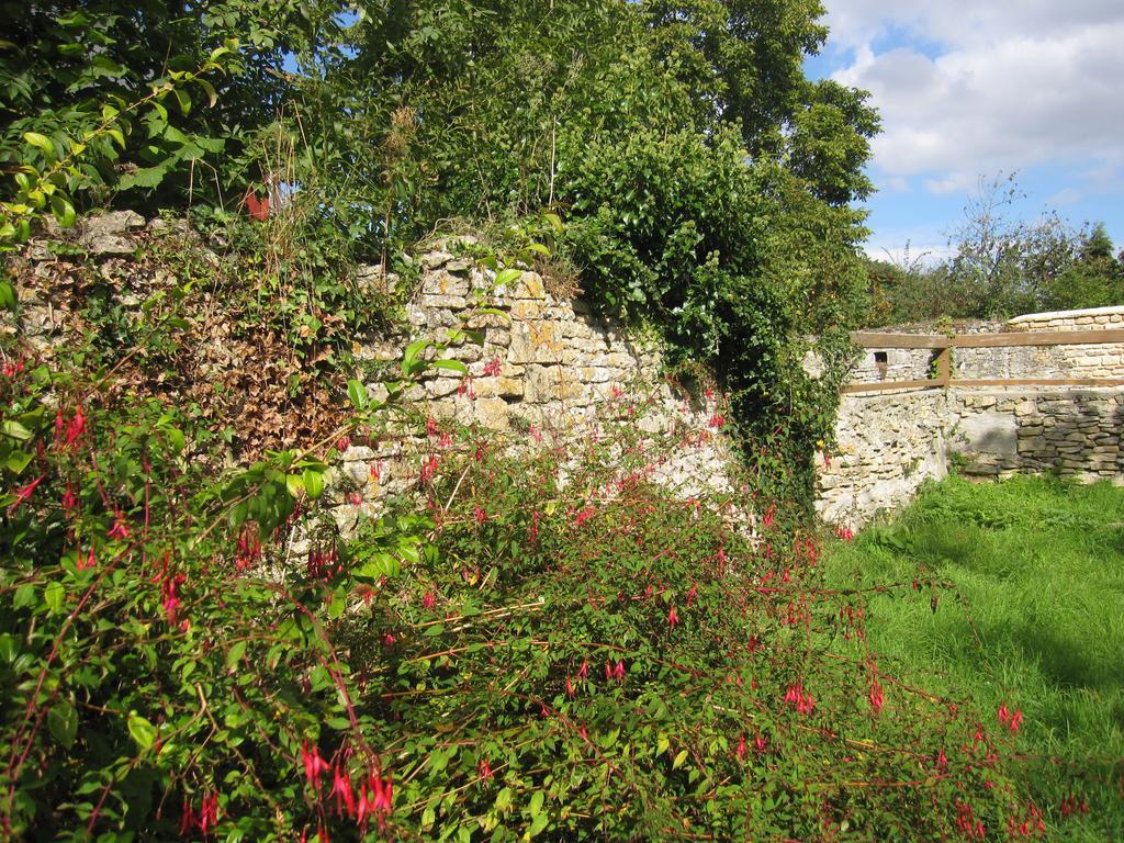 Maison Avec Grand Jardin Pour 15 Couchages En Normandie Cairon Phòng bức ảnh