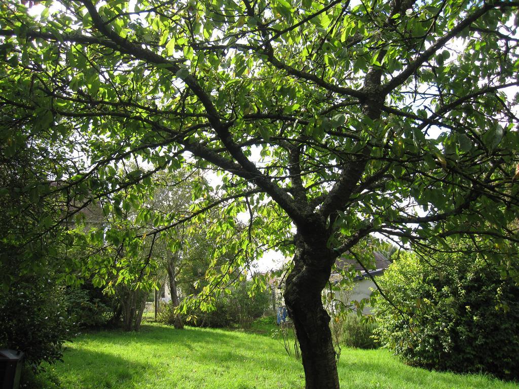 Maison Avec Grand Jardin Pour 15 Couchages En Normandie Cairon Phòng bức ảnh
